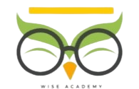 Wise Academy